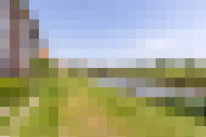 Mientekade 77 Halfweg thumbnail 31