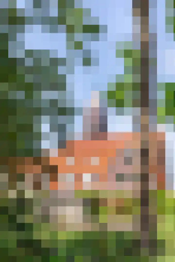 Mientekade 77 Halfweg thumbnail 33