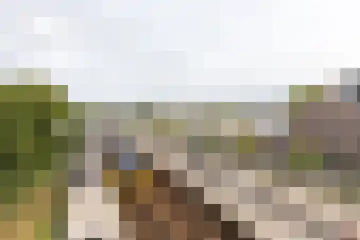 Mientekade 77 Halfweg thumbnail 34