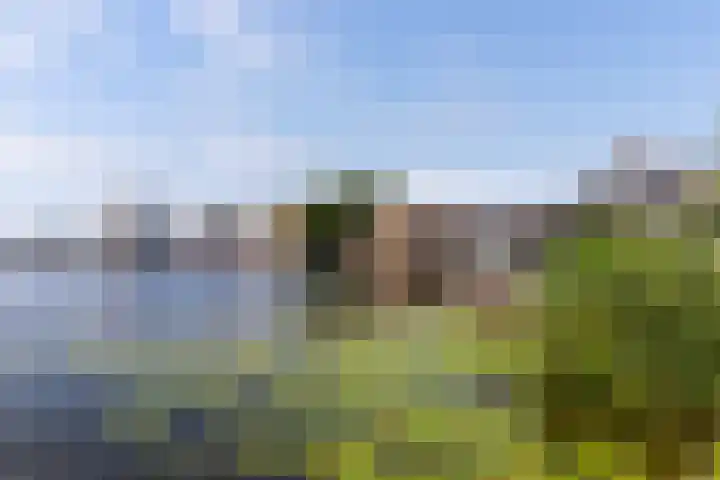 Mientekade 77 Halfweg thumbnail 37