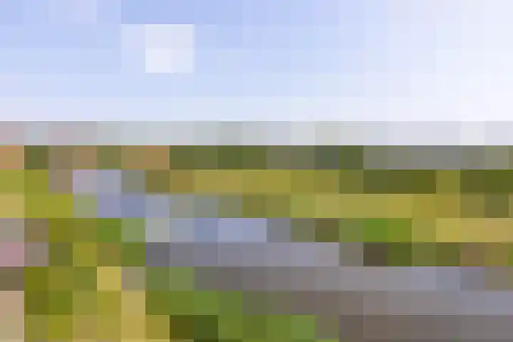 Mientekade 77 Halfweg thumbnail 4