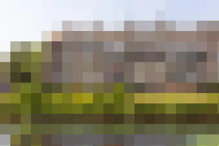 Mientekade 77 Halfweg thumbnail 5