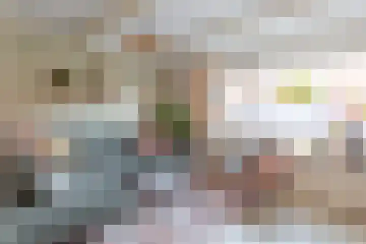 Mientlân 37 IJlst thumbnail 11