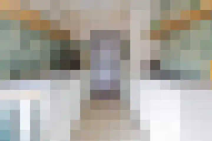 Mientlân 37 IJlst thumbnail 16