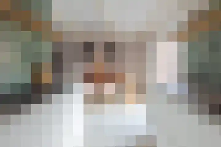 Mientlân 37 IJlst thumbnail 17
