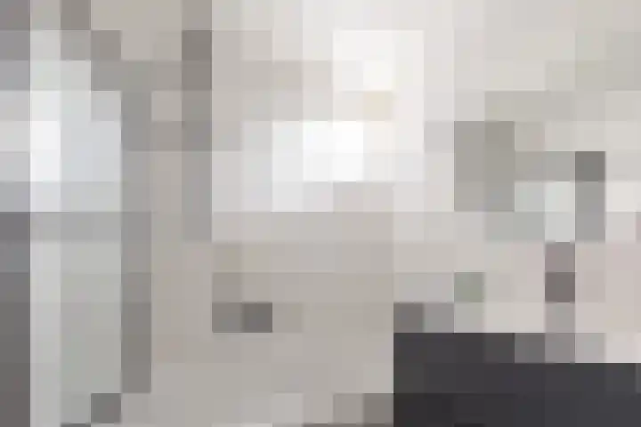 Mientlân 37 IJlst thumbnail 30