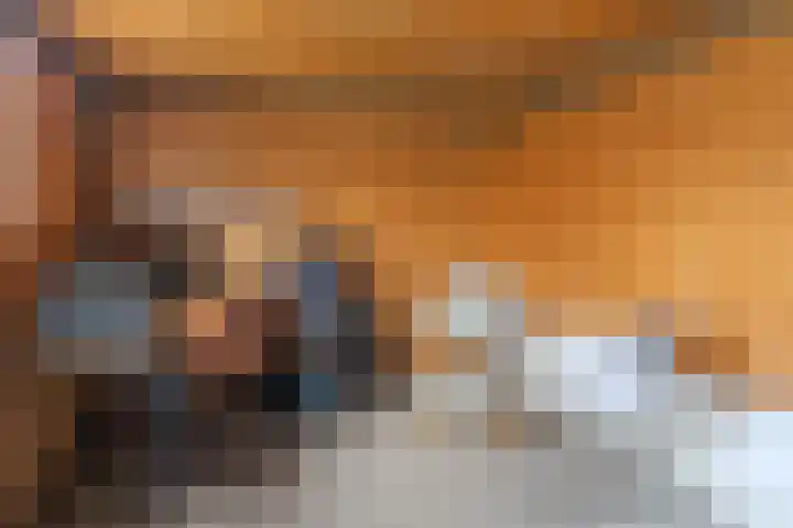 Mientlân 37 IJlst thumbnail 36