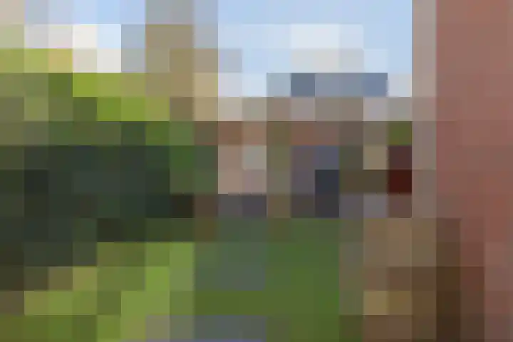 Mientlân 37 IJlst thumbnail 38