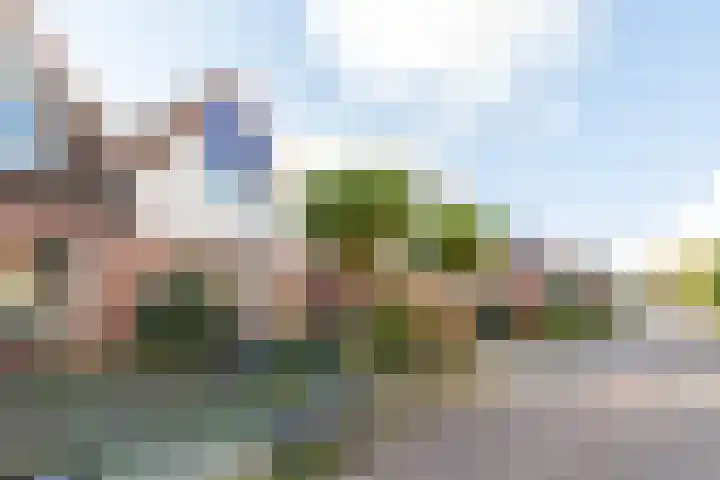 Mientlân 37 IJlst thumbnail 4
