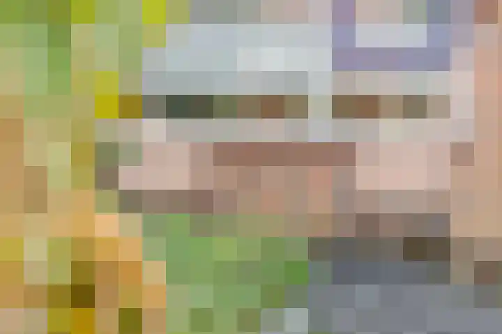 Mientlân 37 IJlst thumbnail 5