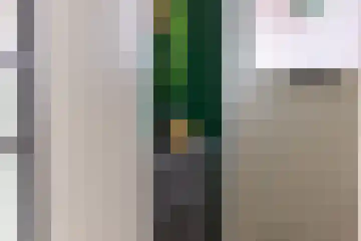 Mientlân 37 IJlst thumbnail 6