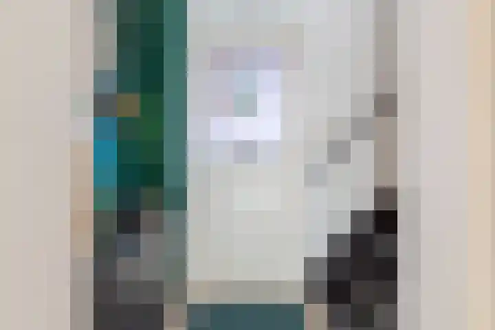 Mientlân 37 IJlst thumbnail 7