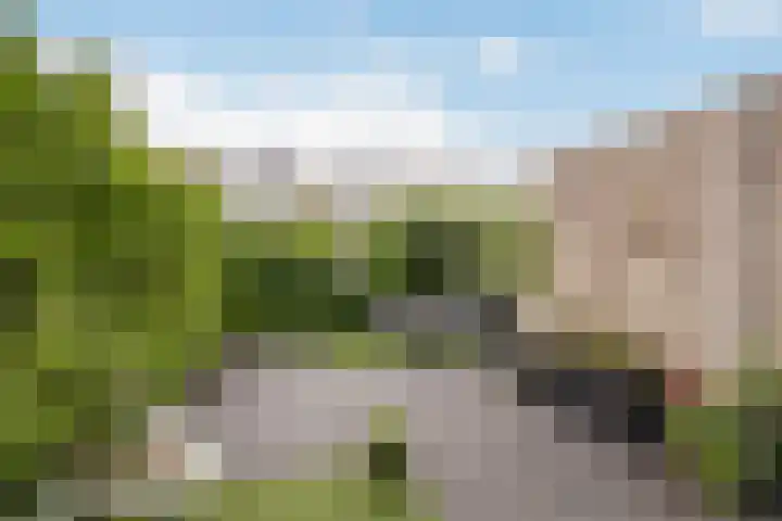 Mieriksveld 8 Schiedam thumbnail 12