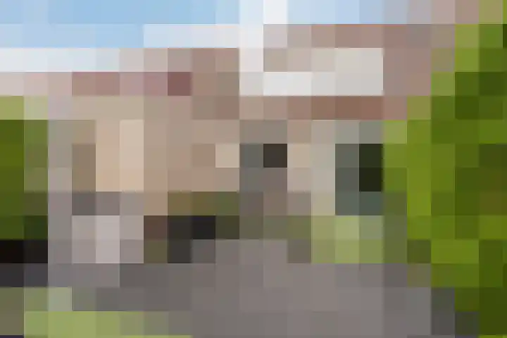 Mieriksveld 8 Schiedam thumbnail 13