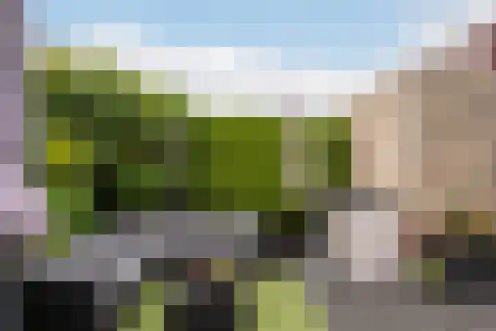 Mieriksveld 8 Schiedam thumbnail 14