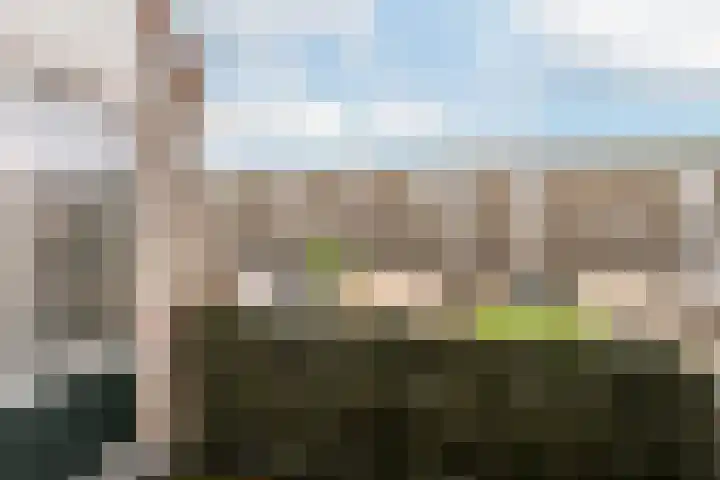 Mieriksveld 8 Schiedam thumbnail 19