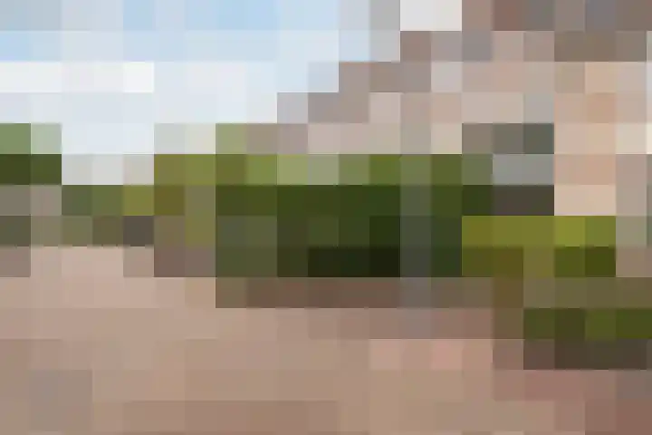 Mieriksveld 8 Schiedam thumbnail 34