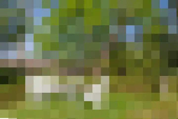 Mieriksveld 8 Schiedam thumbnail 38