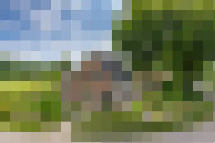 Miggelenbergweg 2 Hoenderloo