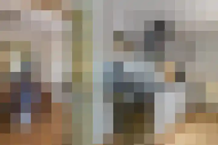 Miggelenbergweg 2 Hoenderloo thumbnail 11