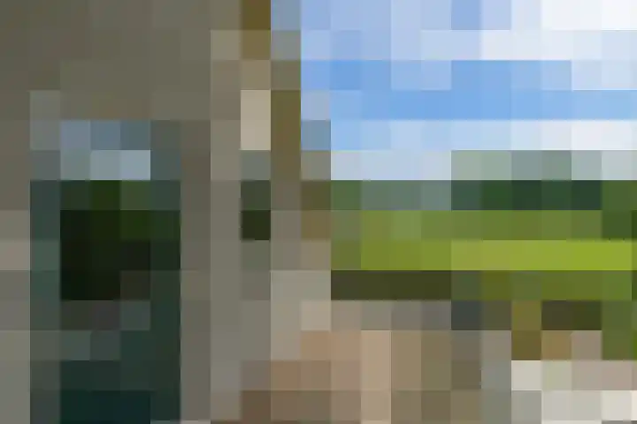 Miggelenbergweg 2 Hoenderloo thumbnail 19