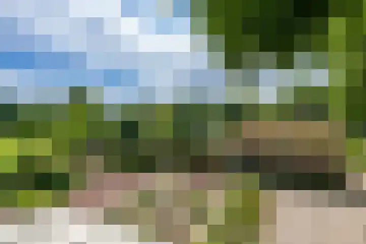 Miggelenbergweg 2 Hoenderloo foto 2