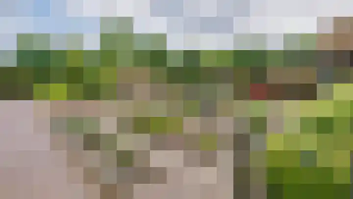 Miggelenbergweg 2 Hoenderloo thumbnail 20