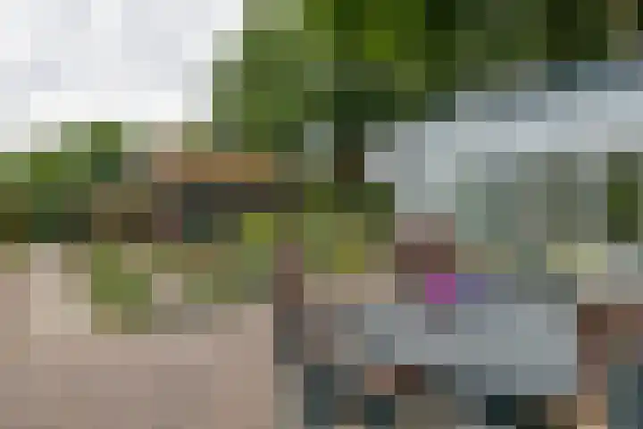 Miggelenbergweg 2 Hoenderloo thumbnail 21