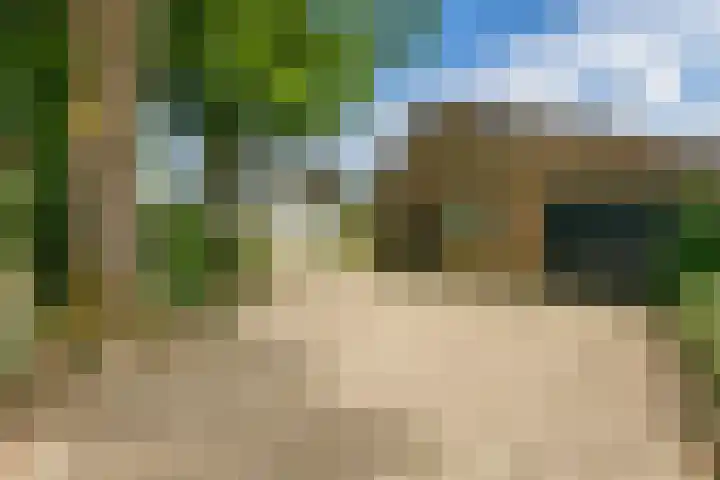 Miggelenbergweg 2 Hoenderloo thumbnail 22