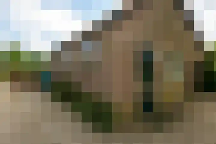 Miggelenbergweg 2 Hoenderloo thumbnail 23