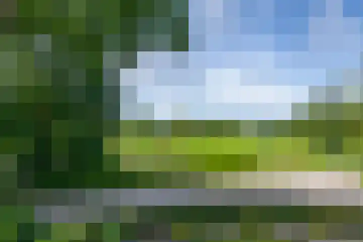 Miggelenbergweg 2 Hoenderloo thumbnail 26