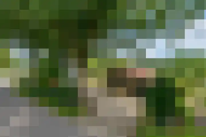 Miggelenbergweg 2 Hoenderloo thumbnail 27