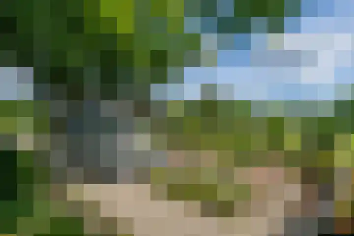 Miggelenbergweg 2 Hoenderloo thumbnail 28