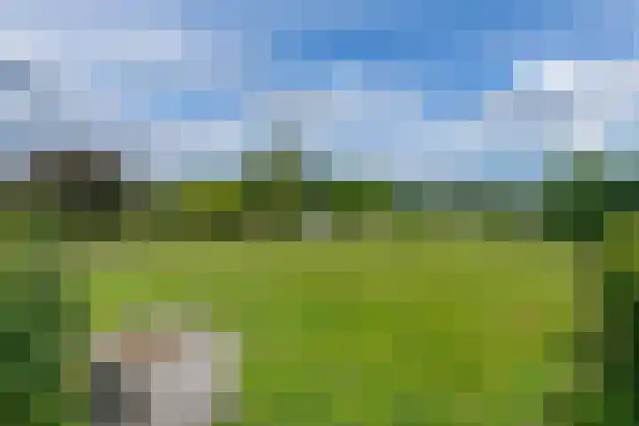 Miggelenbergweg 2 Hoenderloo thumbnail 29