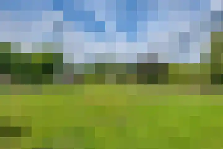Miggelenbergweg 2 Hoenderloo thumbnail 30