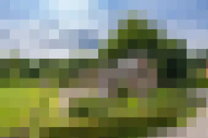 Miggelenbergweg 2 Hoenderloo thumbnail 33