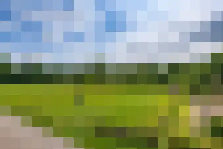 Miggelenbergweg 2 Hoenderloo thumbnail 34