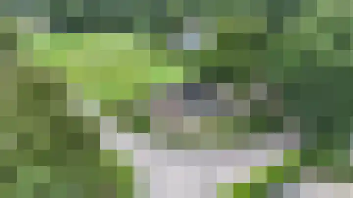 Miggelenbergweg 2 Hoenderloo thumbnail 35