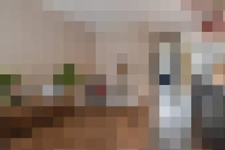 Miggelenbergweg 2 Hoenderloo thumbnail 42