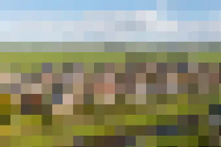 Foto van Migiel Krijger