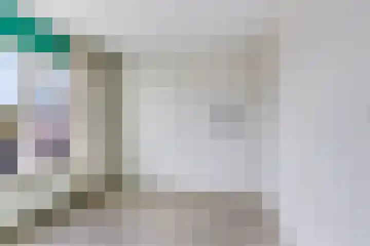 Mignonstraat 3 Wernhout thumbnail 18