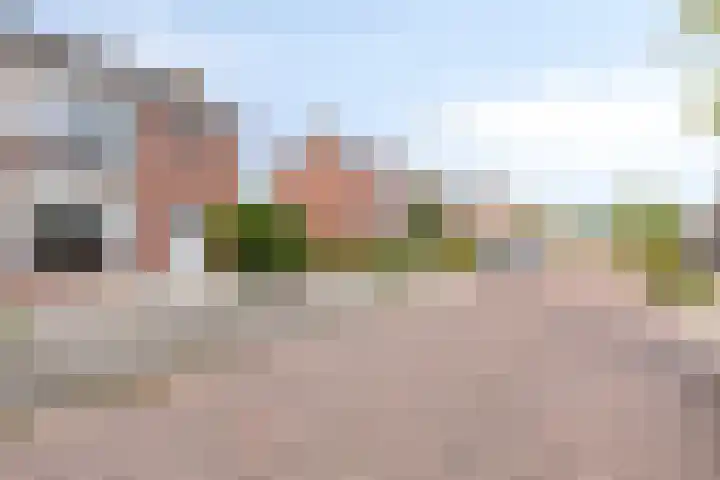 Mignonstraat 3 Wernhout thumbnail 6