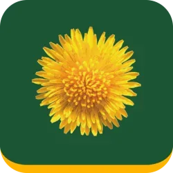 Logo Mijn Buitenplaats Makelaardij & Hendriksma.nl
