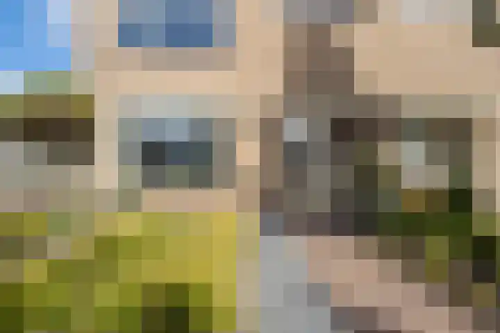 Mijnbouwstraat 42 in Delft