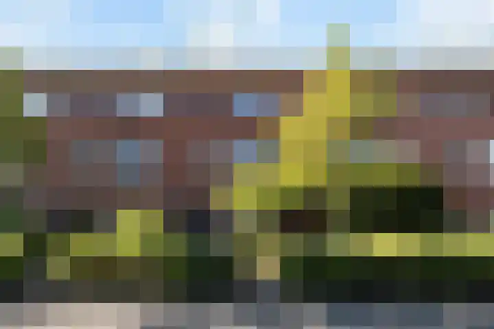 Mijndenpolder 12 dans De Meern