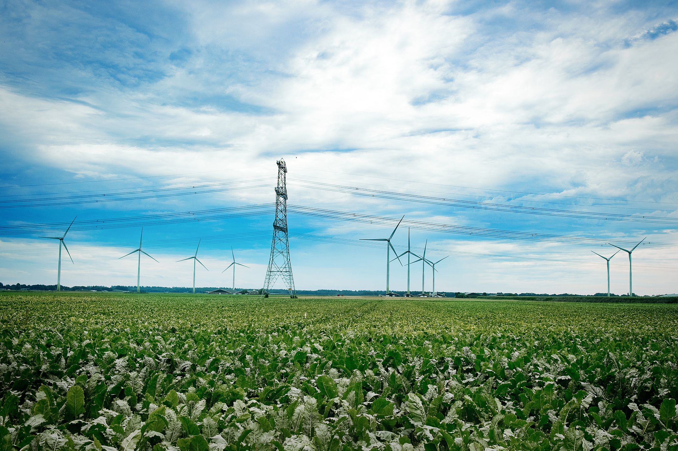 Kantoor foto van Mijnheer Makelaars