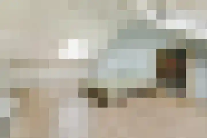 Mikonospad 25 Amsterdam thumbnail 22