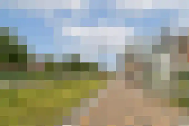 Mikonospad 25 Amsterdam thumbnail 25