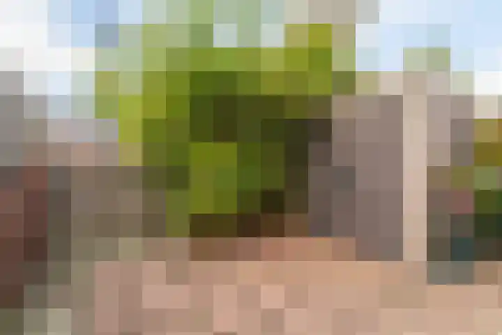 Mikonospad 36 Amsterdam thumbnail 12