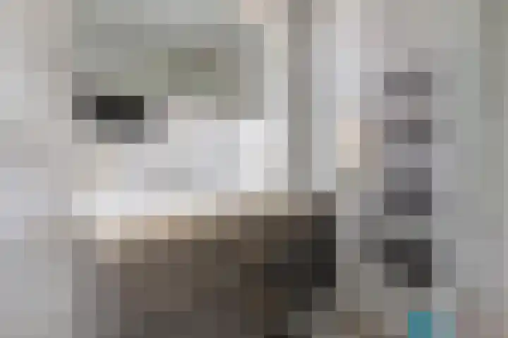 Mikonospad 36 Amsterdam thumbnail 23